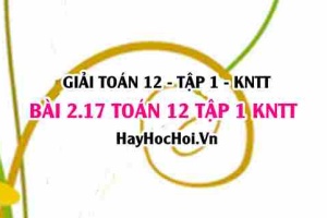 Giải 2.17 Toán 12 tập 1 SGK Kết nối tri thức